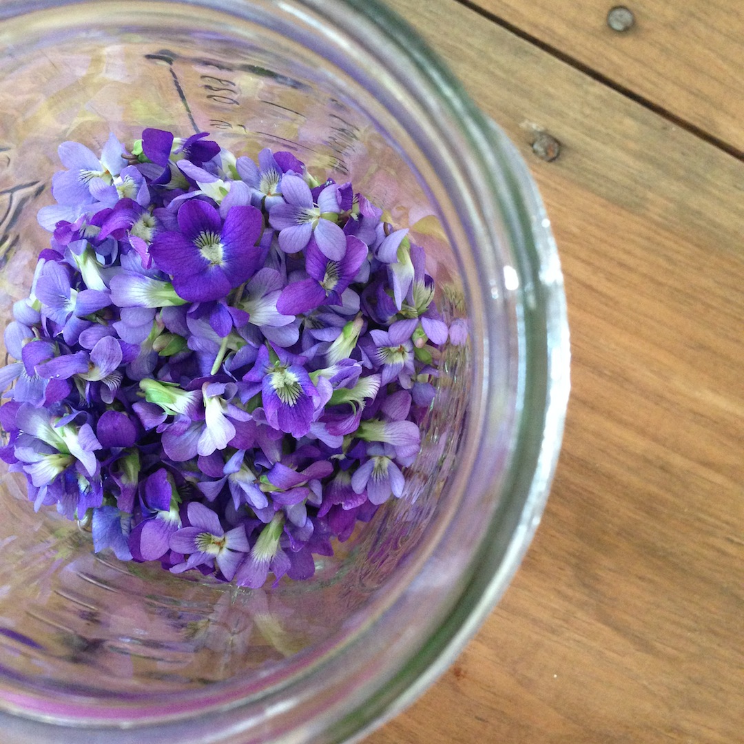 how to make violet syrup - In Jennie's Kitchen