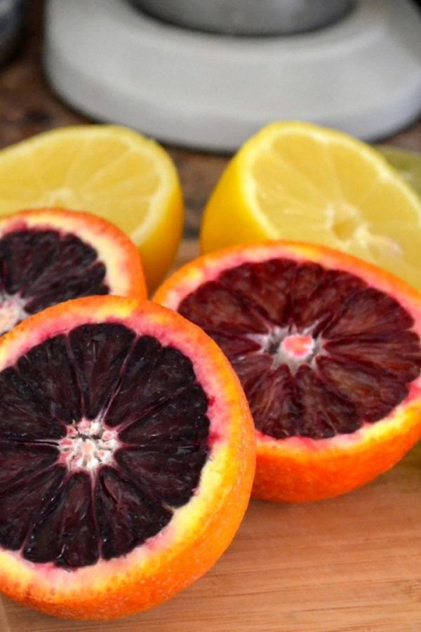 In Season: Blood Oranges - In Jennie's Kitchen