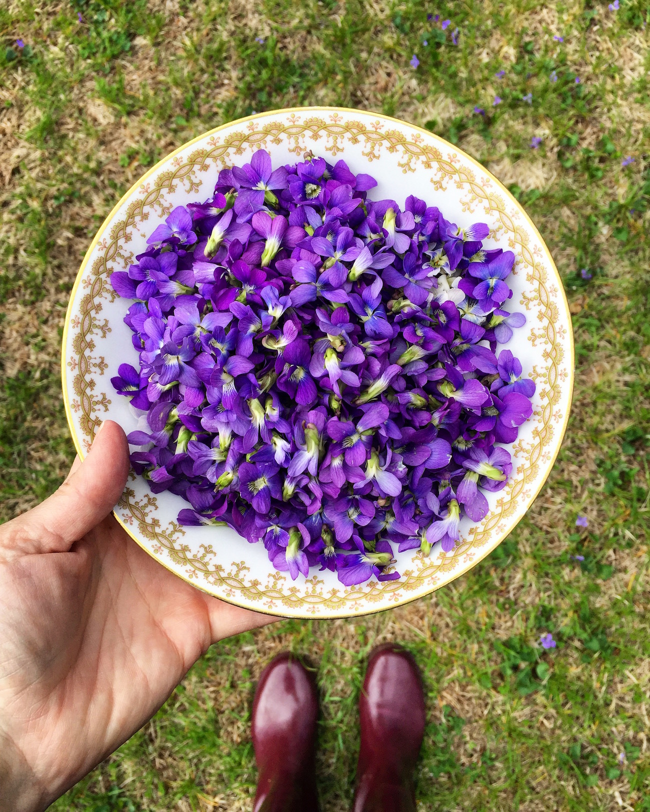 How To Make Violet Syrup - In Jennie's Kitchen