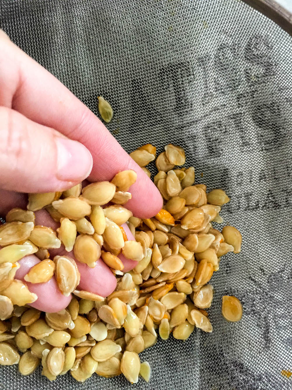  How To Toast Pumpkin Seeds In Jennie s Kitchen